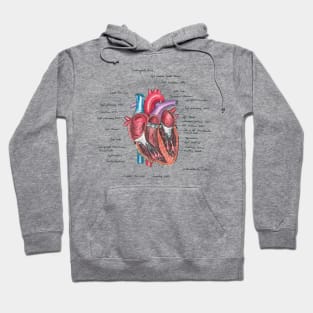 Healthy Heart Hoodie